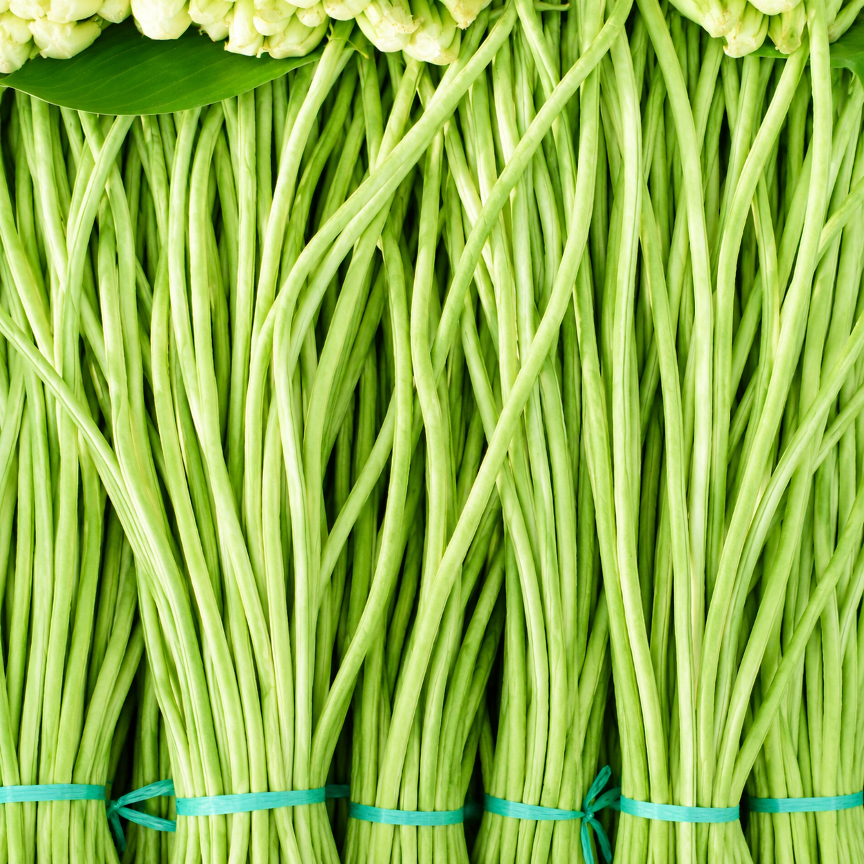 बोडी (Long Beans)