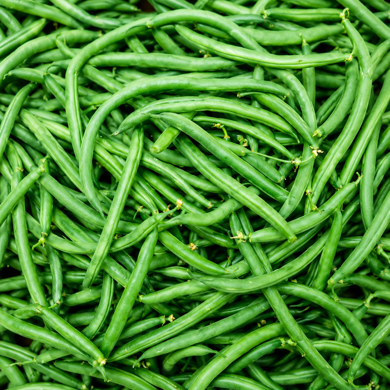सिमी (Beans)