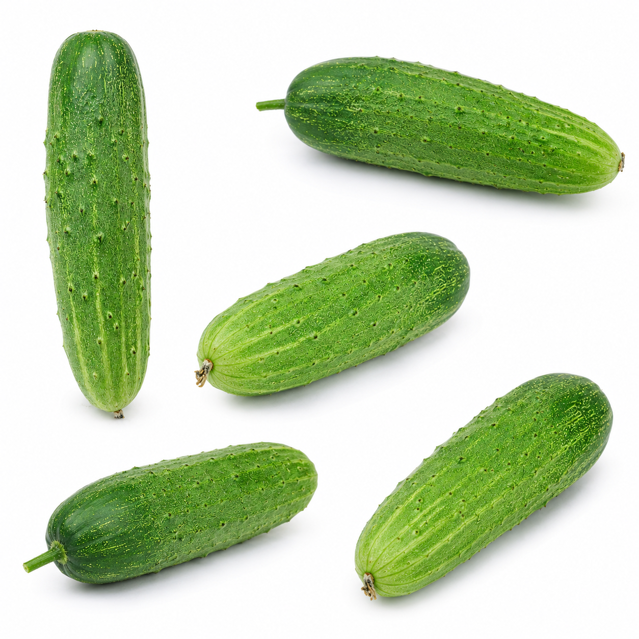 🥒 काँक्रो (Cucumber)