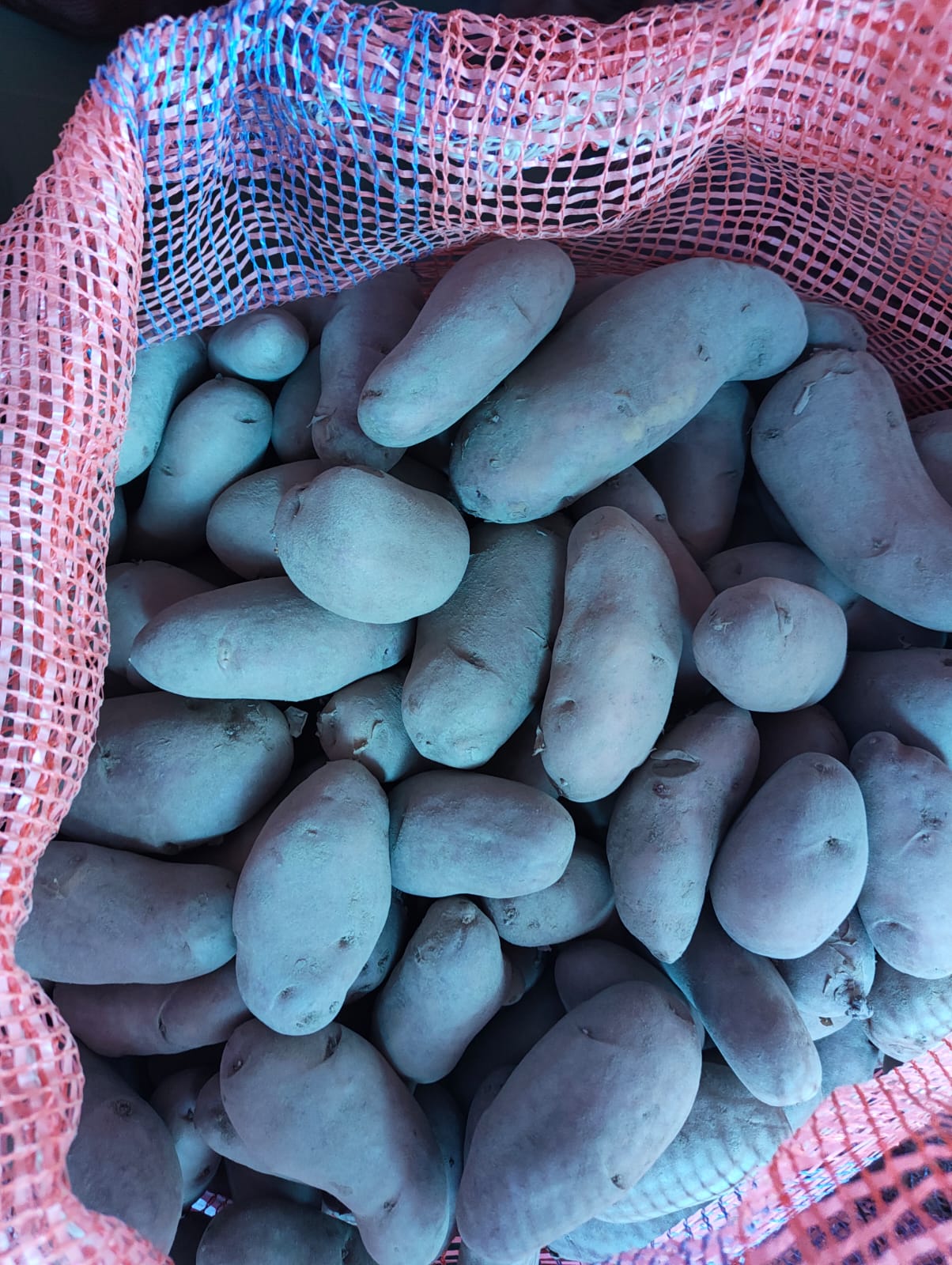 हेम्जाको निलो आलु (Potato, aalu)