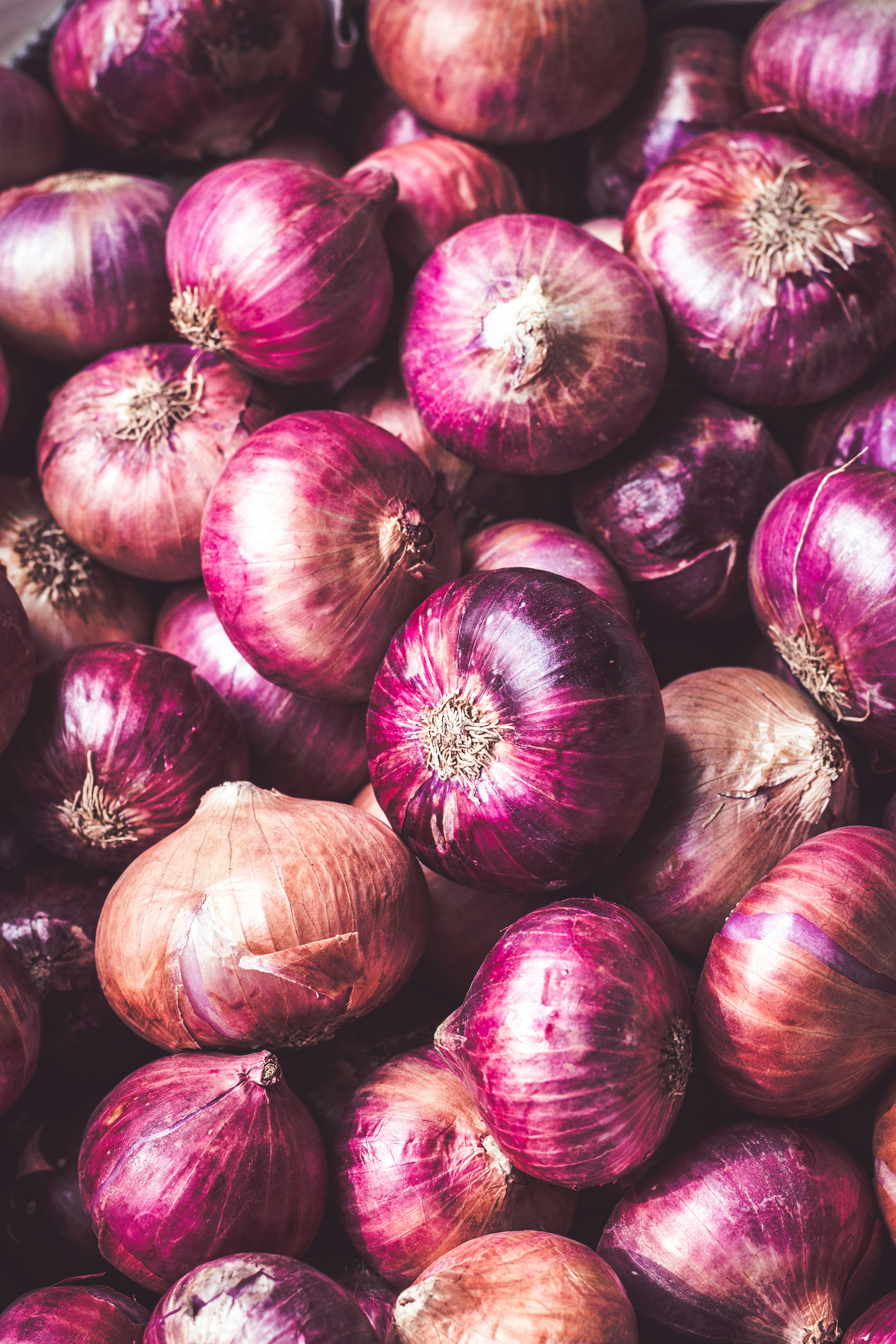 🧅 प्याज (Onion)