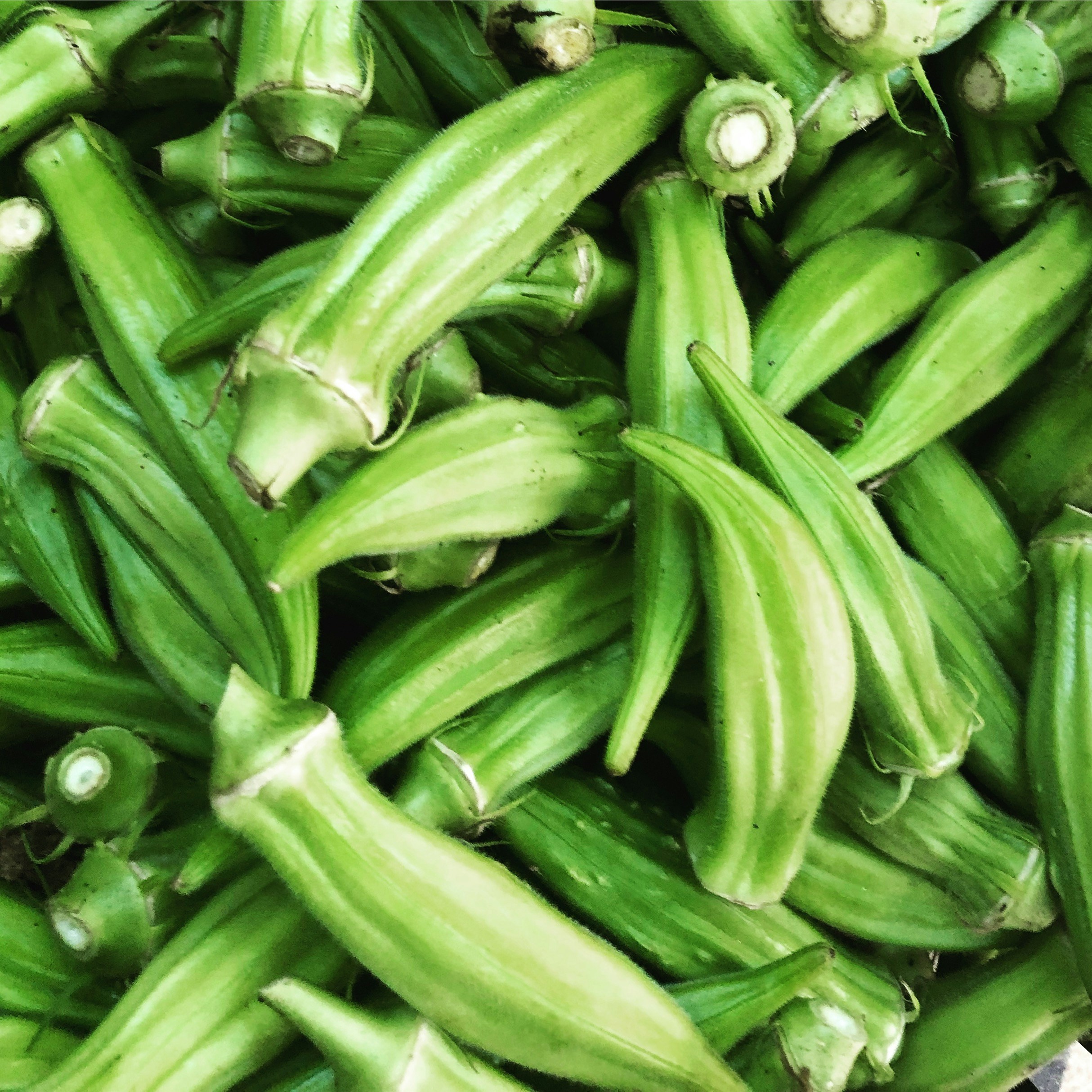 भिण्डी (Lady's Finger)