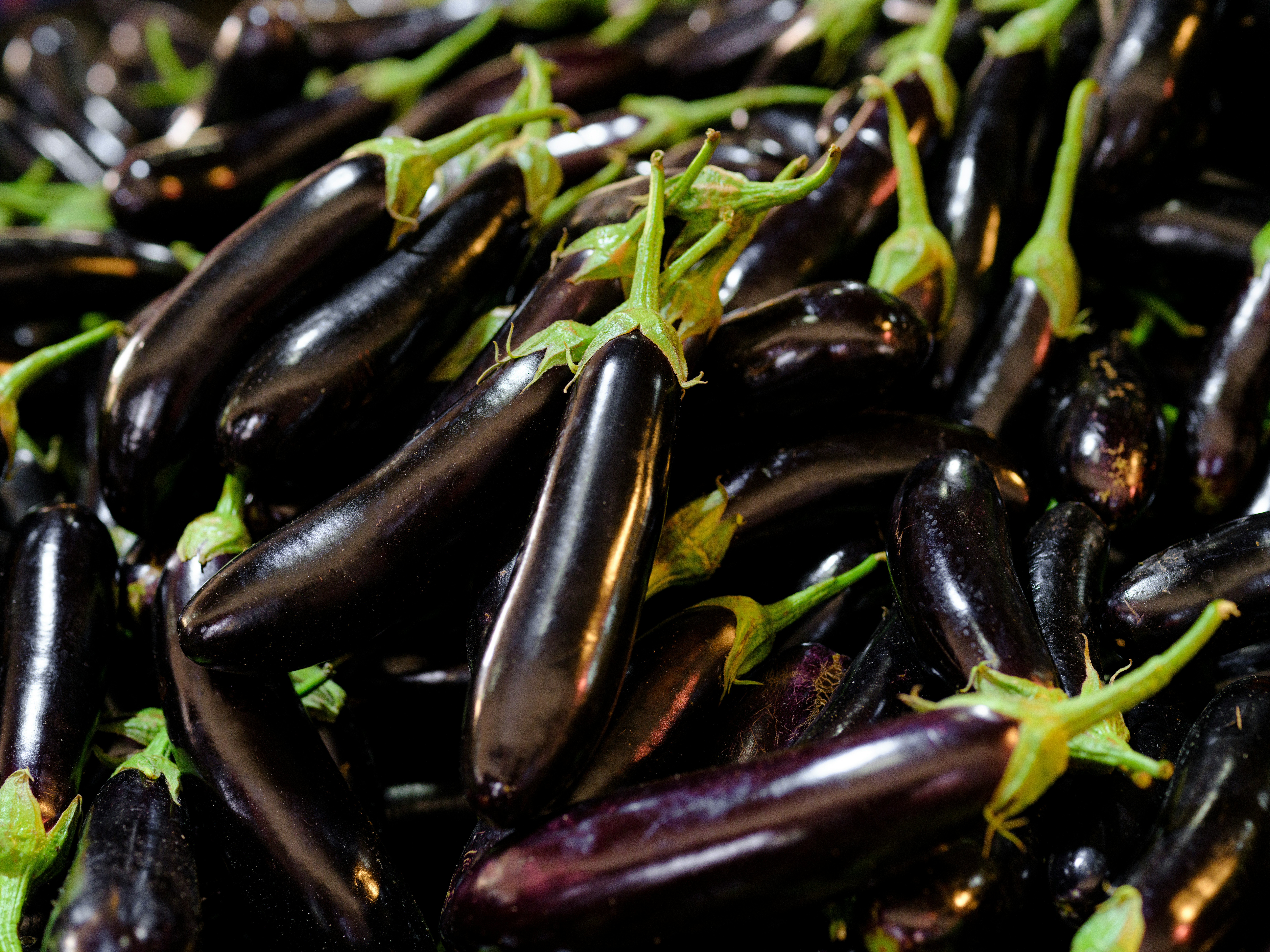 🍆 भण्टा (Eggplant/Brinjal)