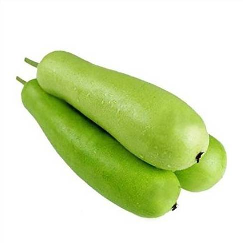 🥒 लौका (Bottle Gourd)