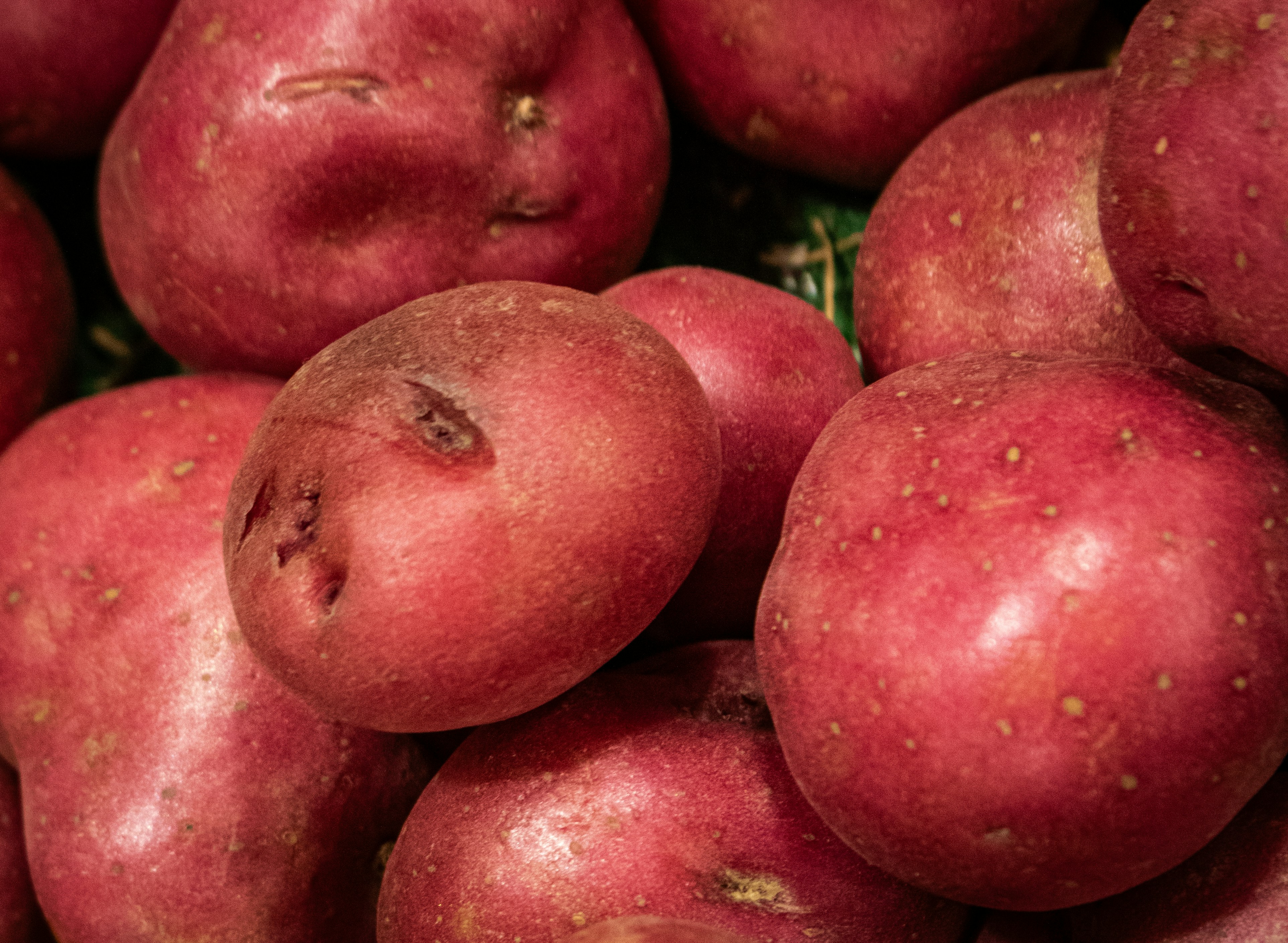 रातो आलु (Red Potato)